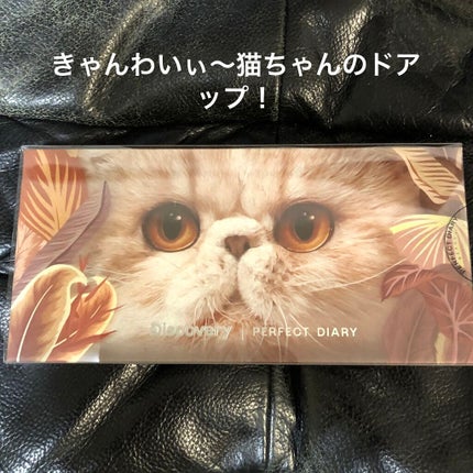 エクスプローラ12色 動物アイシャドウパレット/PERFECT DIARY/アイシャドウパレットを使ったクチコミ(2枚目)