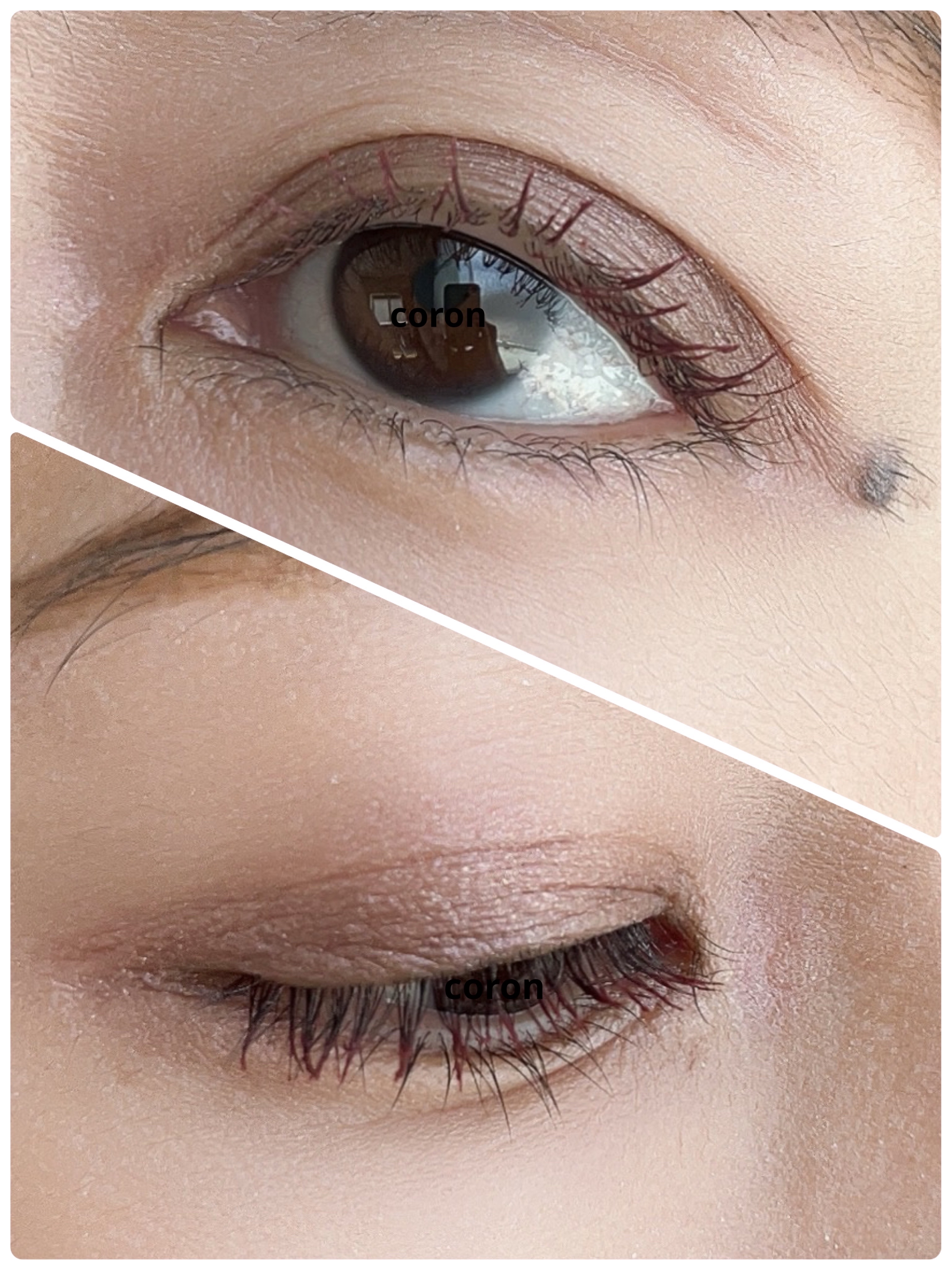 クイックラッシュカーラー/キャンメイク/マスカラ下地を使ったクチコミ（2枚目）