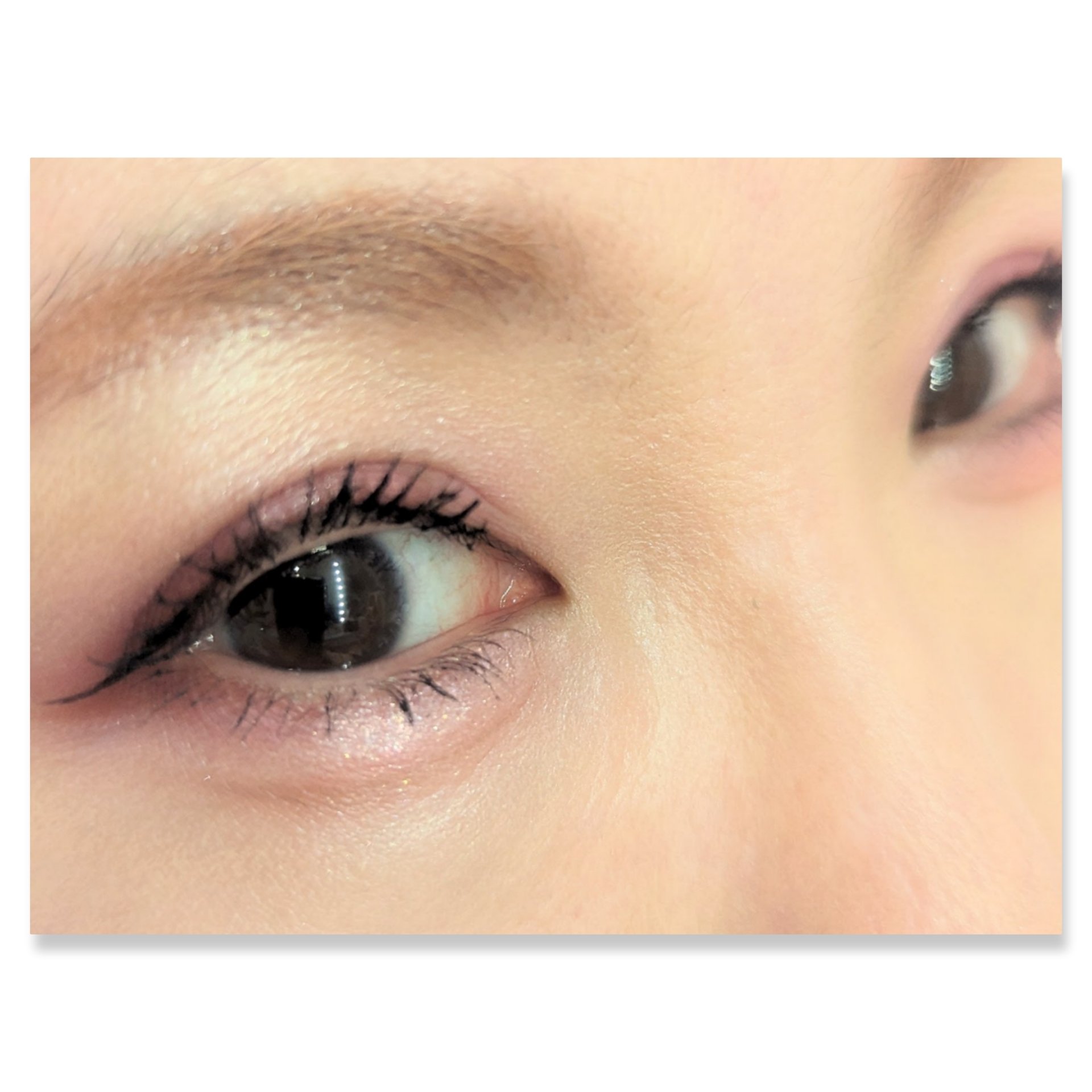 プレイカラーアイズミニ　ローズボム/ETUDE/アイシャドウパレットを使ったクチコミ（2枚目）