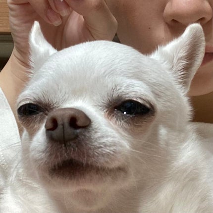 ジェルネイル(ライト対応)/セリア/ジェルネイルを使ったクチコミ(5枚目)