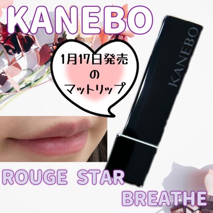 カネボウ ルージュスターブリーズ/KANEBO/口紅を使ったクチコミ(1枚目)