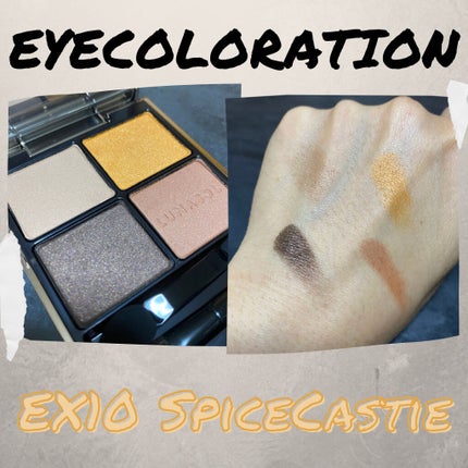 アイカラーレーション EX10 Spice Castle(限定発売)/LUNASOL/アイシャドウパレットを使ったクチコミ(2枚目)