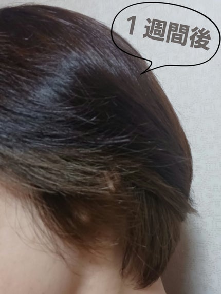 泡カラー 白髪用 2NA:ナチュラリーアッシュ/ブローネ/ヘアカラーの画像