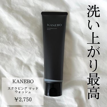 スクラビング　マッド　ウォッシュ/KANEBO/洗顔フォームを使ったクチコミ（1枚目）