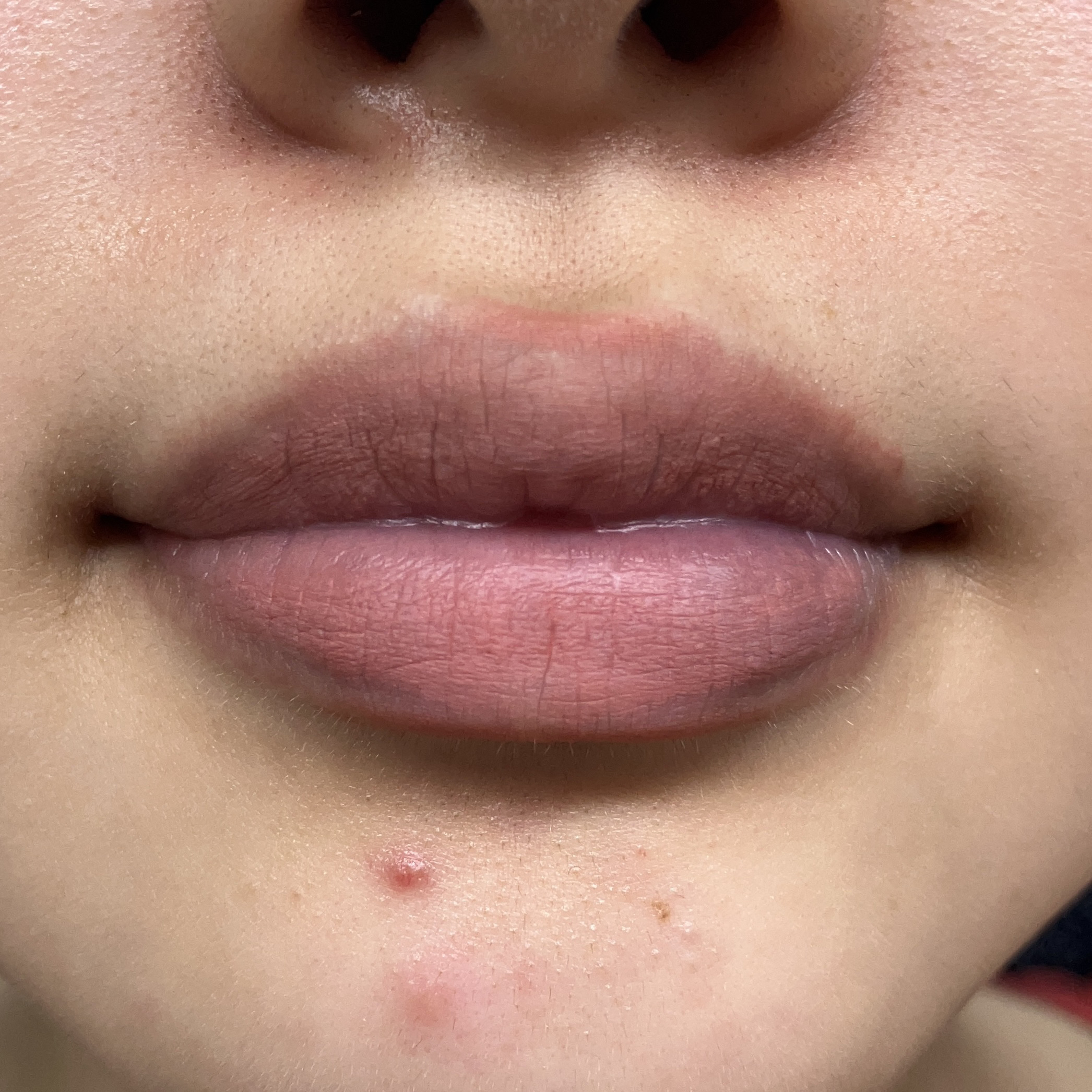 オールマイシングス トゥルービューティー デザイニング リップペンシル/all my things/リップライナーを使ったクチコミ（3枚目）