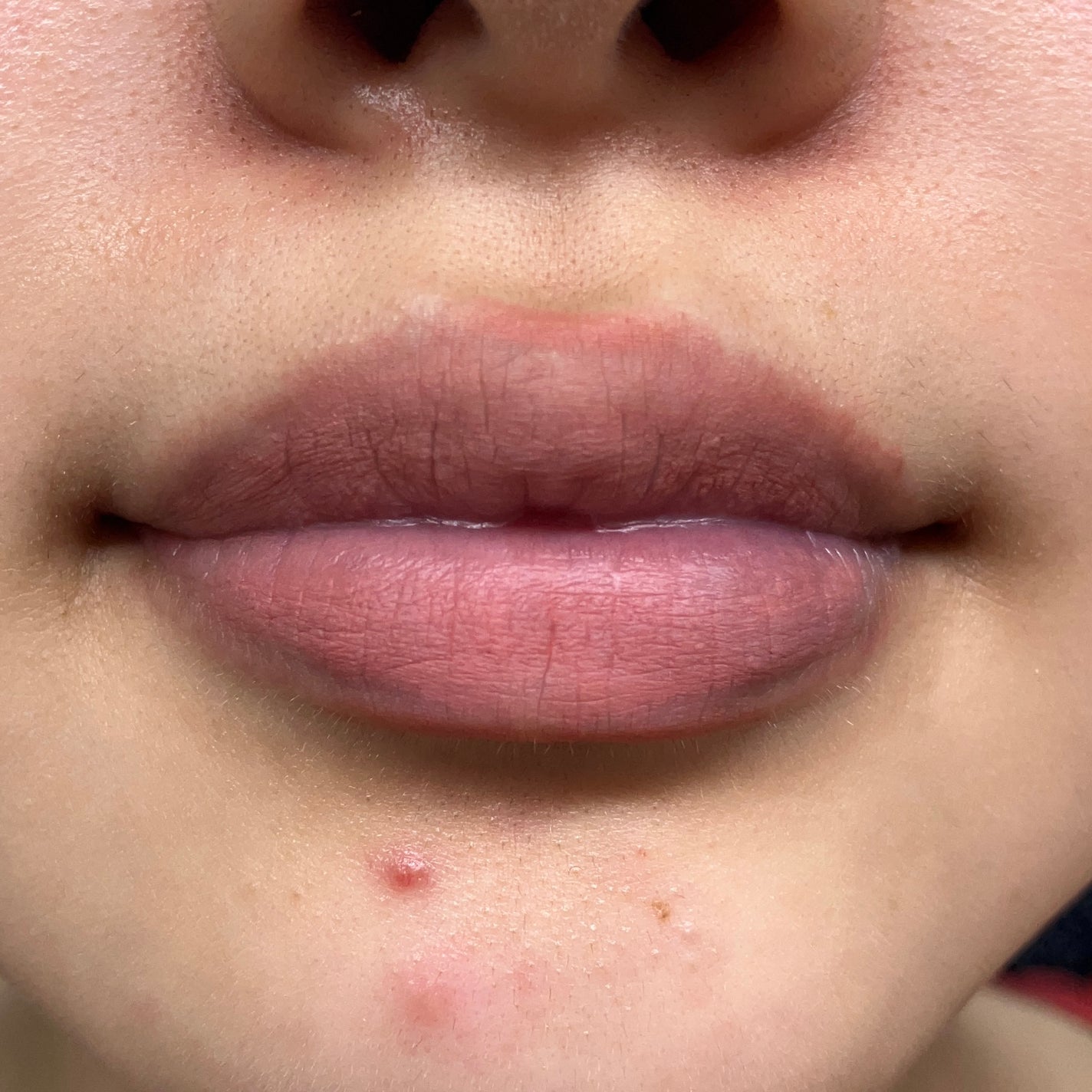 オールマイシングス トゥルービューティー デザイニング リップペンシル/all my things/リップライナーを使ったクチコミ(3枚目)