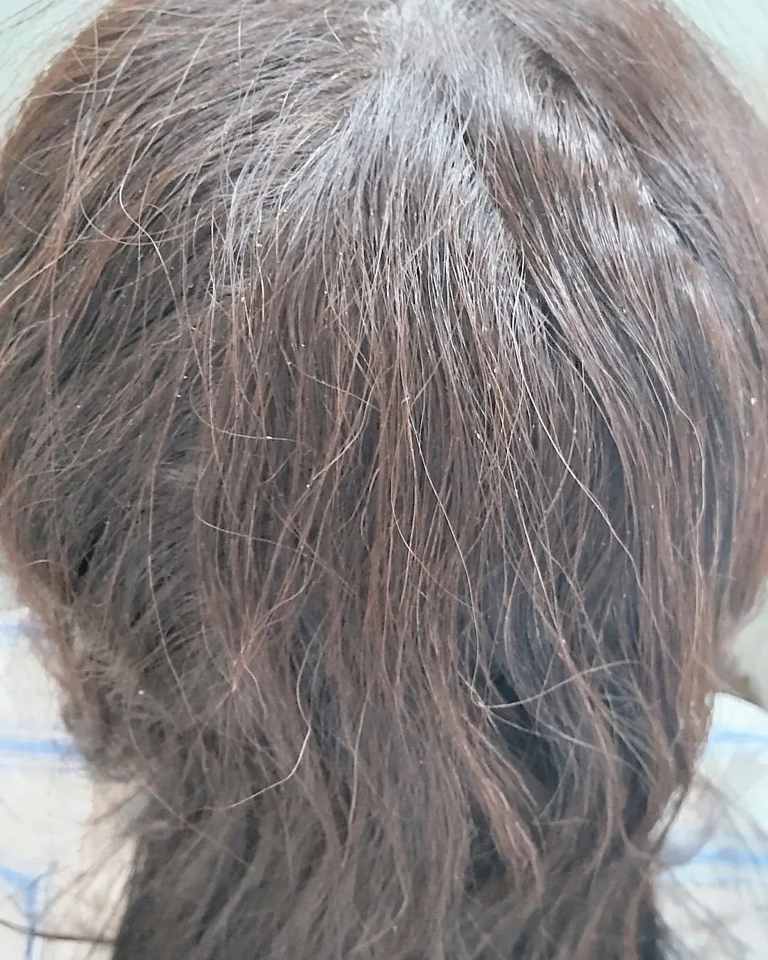 SHAMPOO & REPAIR/MEDULLA/市販シャンプーを使ったクチコミ(5枚目)