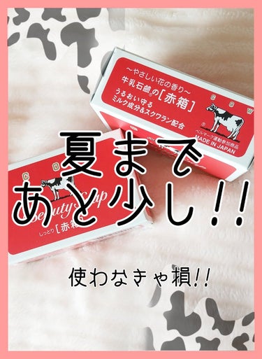 カウブランド 赤箱 (しっとり)のクチコミ「こんにちは!
Mikiです!

もうすぐ夏ですね〜!
皆さんは夏派ですか?冬派ですか?
私は断.....」（1枚目）