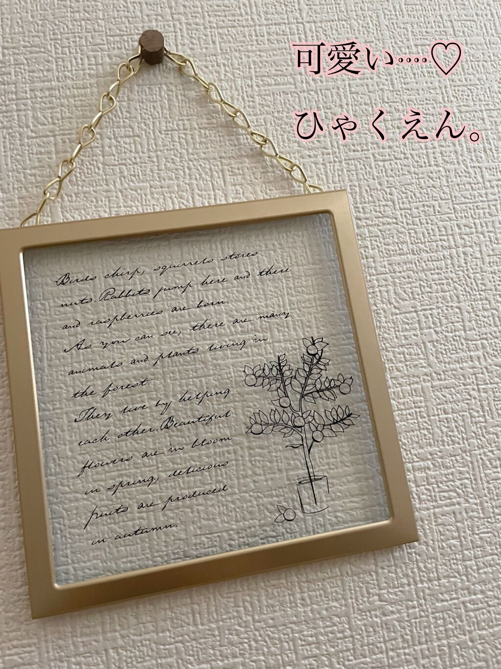 インテリア/DAISO/その他を使ったクチコミ（1枚目）