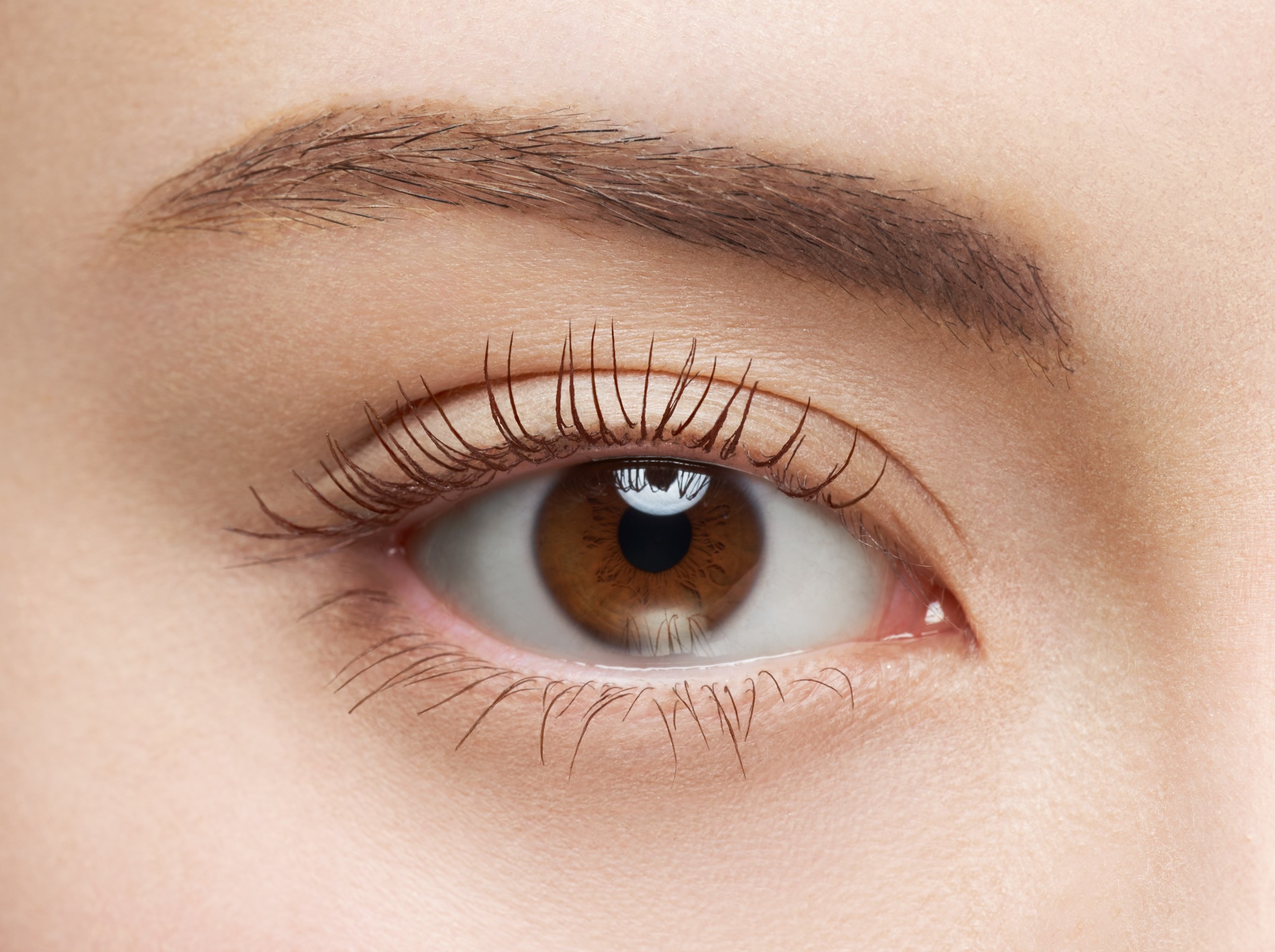 ケイト カールアウェイキングマスカラ BR-1 ブラウン