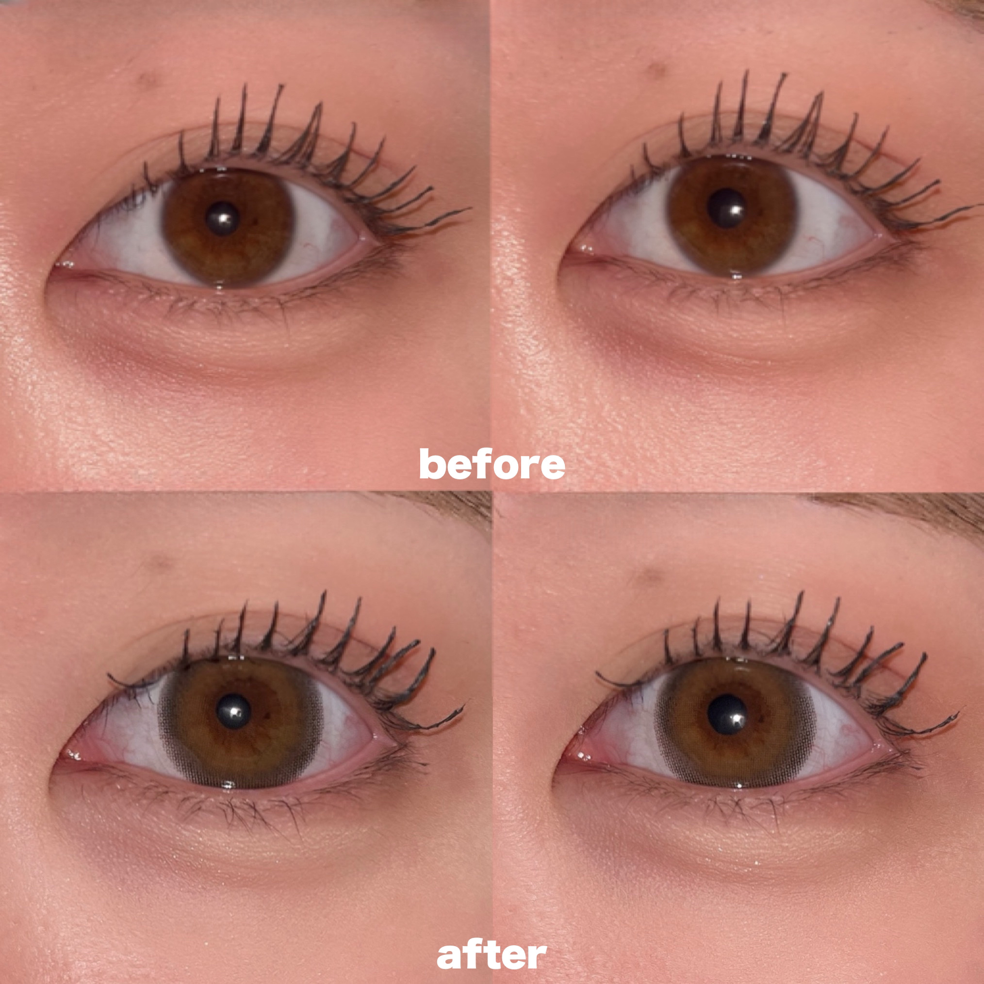 melady 1day/melady/ワンデー（１DAY）カラコンを使ったクチコミ（2枚目）