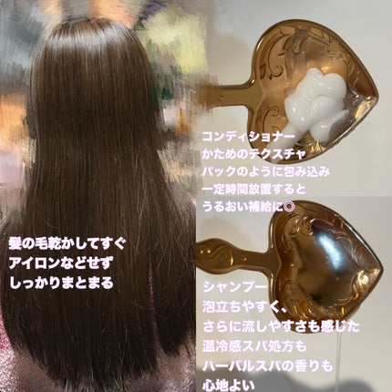 レバタ スカルプスパ シャンプー/トリートメント/Levätä/市販シャンプーを使ったクチコミ(3枚目)