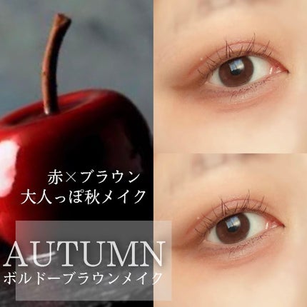 パーフェクトマルチアイズ/キャンメイク/アイシャドウパレットを使ったクチコミ(1枚目)