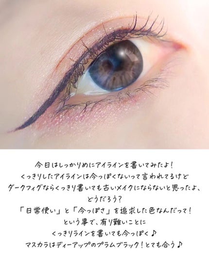 シルキーリキッドアイライナーWP/D-UP/リキッドアイライナーを使ったクチコミ(3枚目)