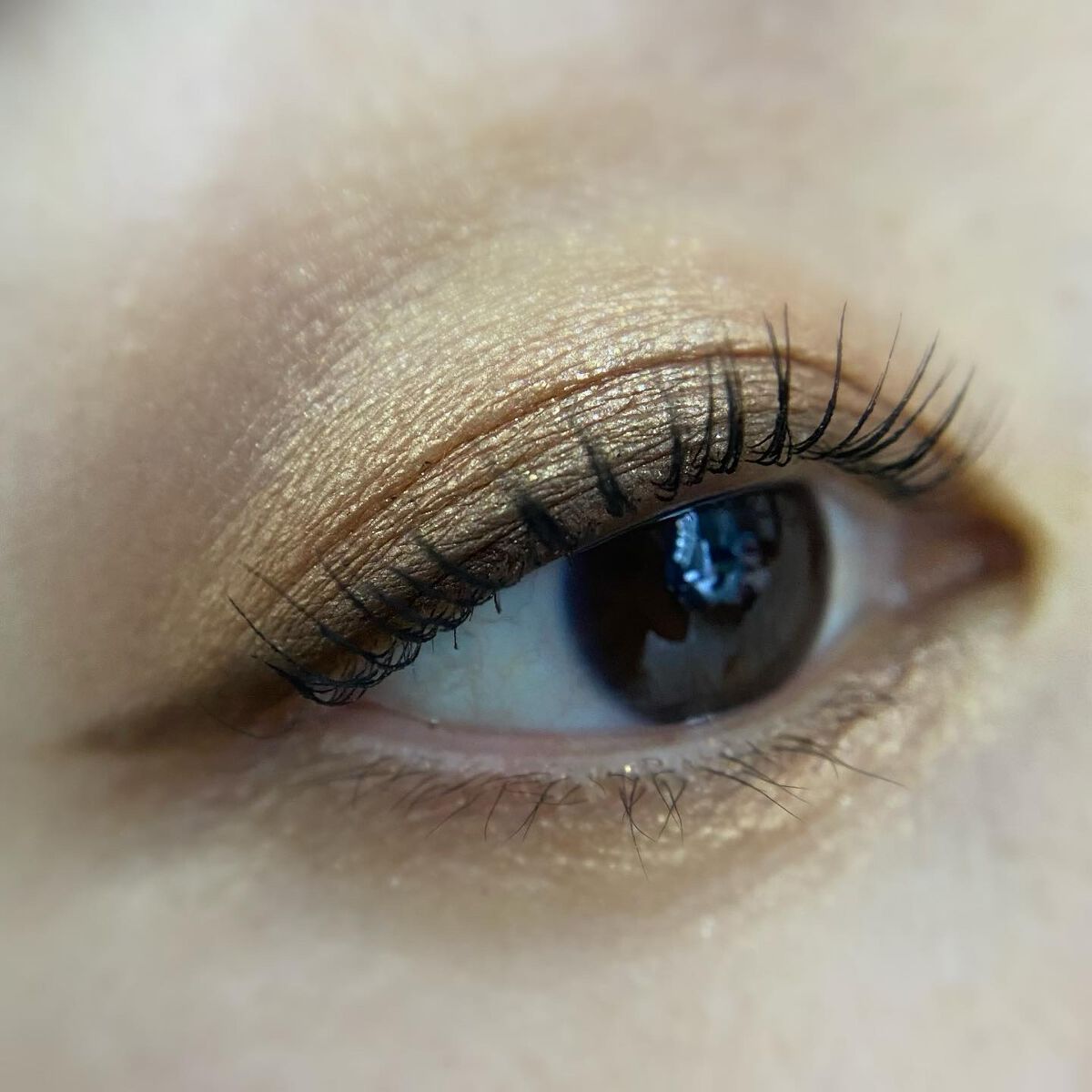 ショコラスウィート アイズ/リンメル ロンドン/アイシャドウパレットを使ったクチコミ（3枚目）