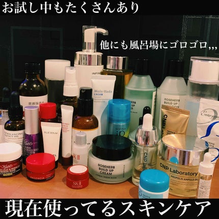 アンフィネス ダーマ パンプ ミルク/ALBION/乳液を使ったクチコミ(2枚目)