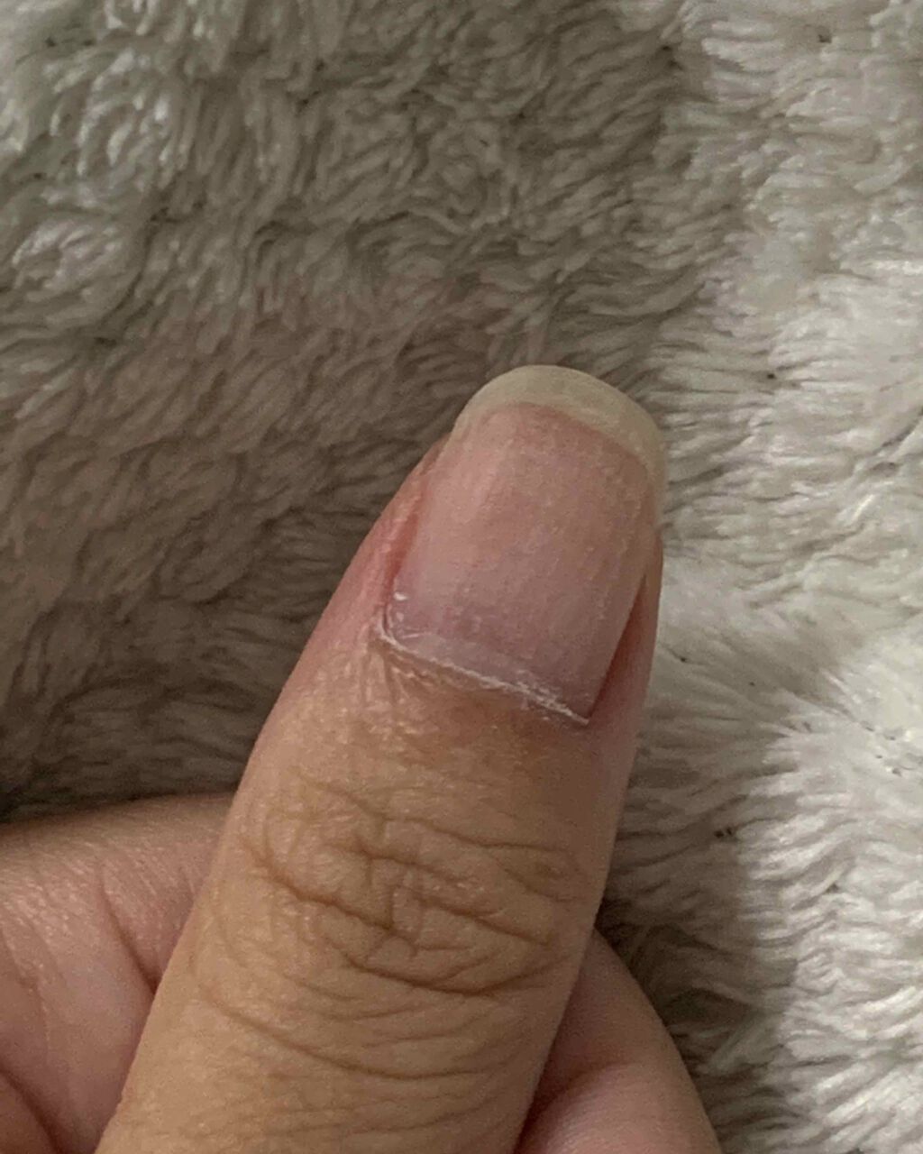 シャイニングネイルラブ/ネイリスト/ネイル用品を使ったクチコミ(5枚目)