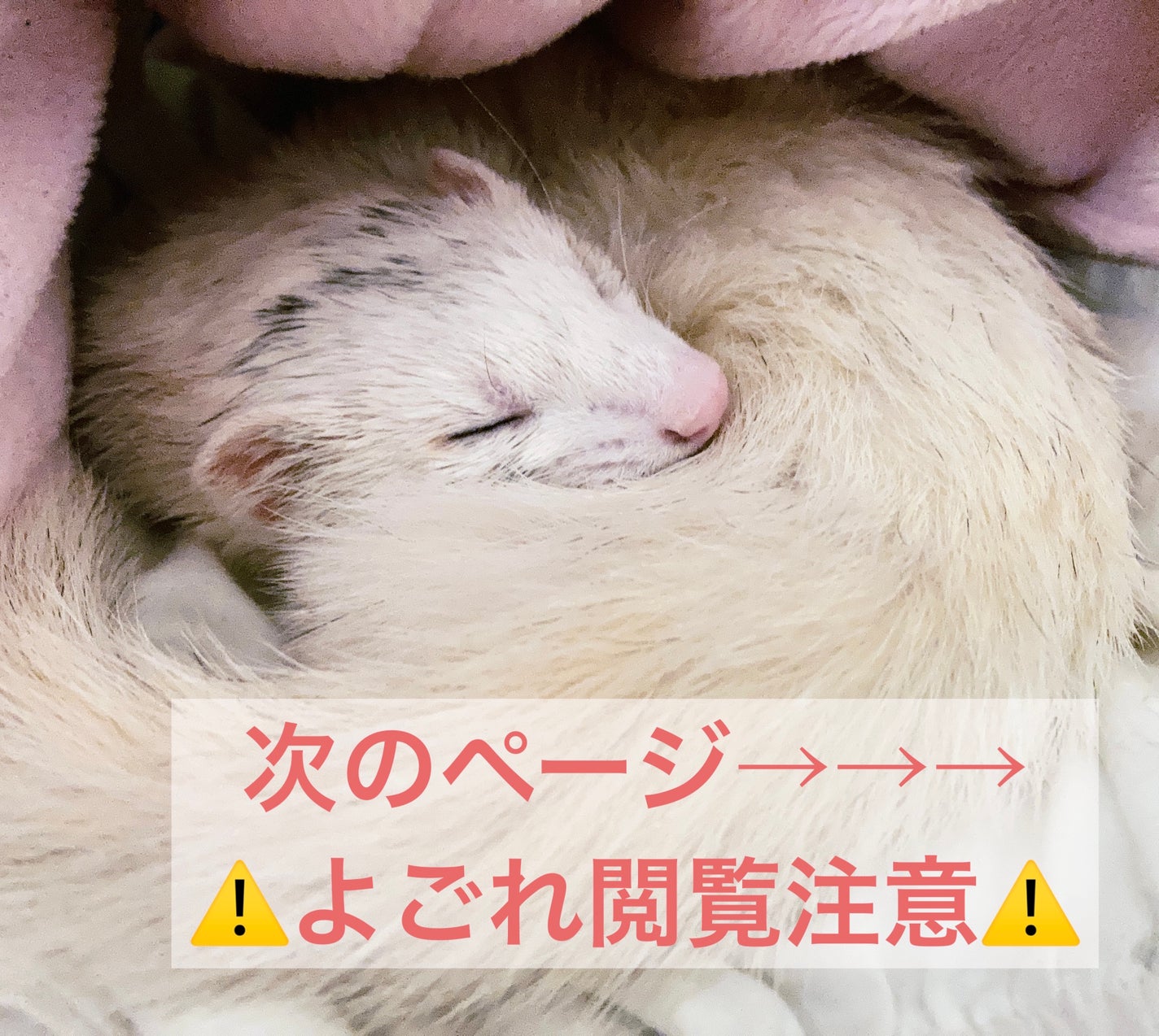 水まわり用 輝き洗剤キーラ/輝き洗剤キーラ/その他を使ったクチコミ(3枚目)