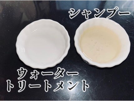 プレミアムイオン ダメージケアシャンプー (モイスト&リペア) /IONICO/市販シャンプーを使ったクチコミ(2枚目)