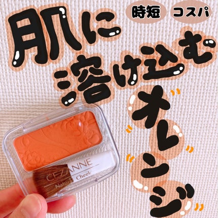 ナチュラル チークN/CEZANNE/パウダーチークを使ったクチコミ(1枚目)
