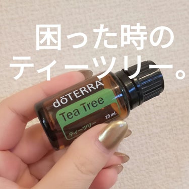 エッセンシャルオイル　ティートリー/doTERRA/ボディオイルを使ったクチコミ（2枚目）