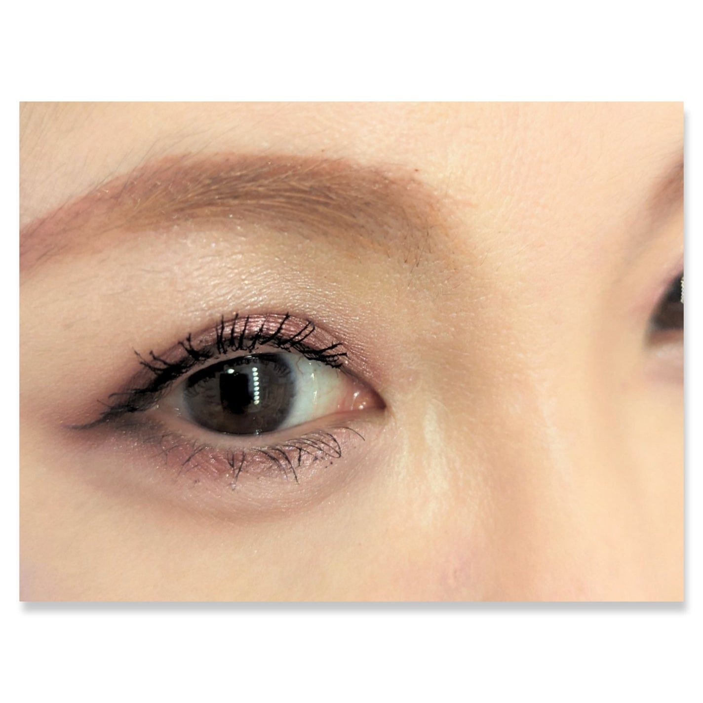 プロ アイ パレット エアー/CLIO/アイシャドウパレットを使ったクチコミ(2枚目)