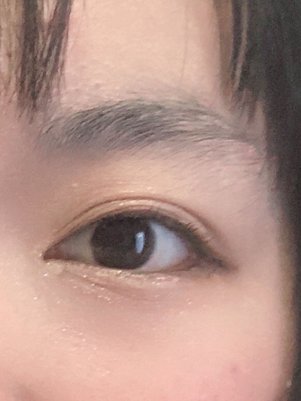 スキンモデリングアイズ/LUNASOL/アイシャドウパレットを使ったクチコミ(1枚目)