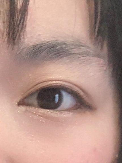 スキンモデリングアイズ/LUNASOL/アイシャドウパレットを使ったクチコミ(1枚目)