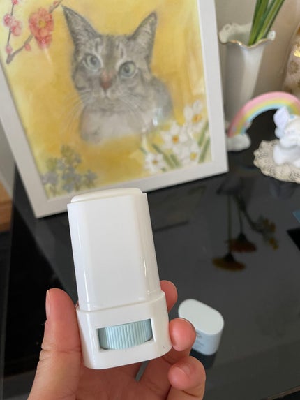 プロディフェンス ライトアップUV スティック/サンカット®/日焼け止めスティックを使ったクチコミ(4枚目)