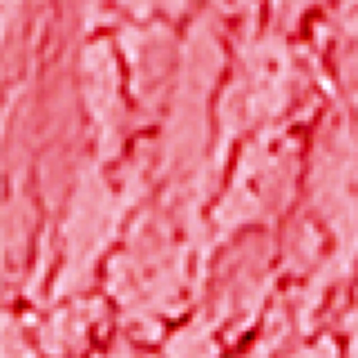 ポンポンミネラルチーク ピンクブルーム