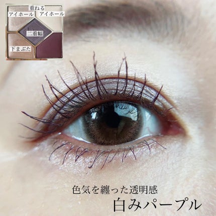 旧】サンク クルール クチュール 159 プラム チュール / Dior 旧】サンク クルール クチュール 159 プラム チュール / Dior