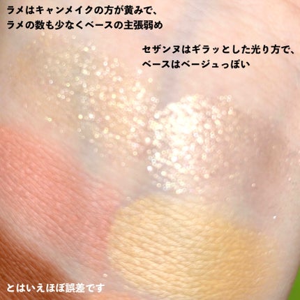 シルキースフレアイズ(マットタイプ)/キャンメイク/アイシャドウパレットを使ったクチコミ(7枚目)