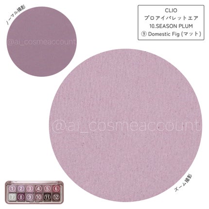 プロ アイ パレット エアー/CLIO/アイシャドウパレットを使ったクチコミ(9枚目)