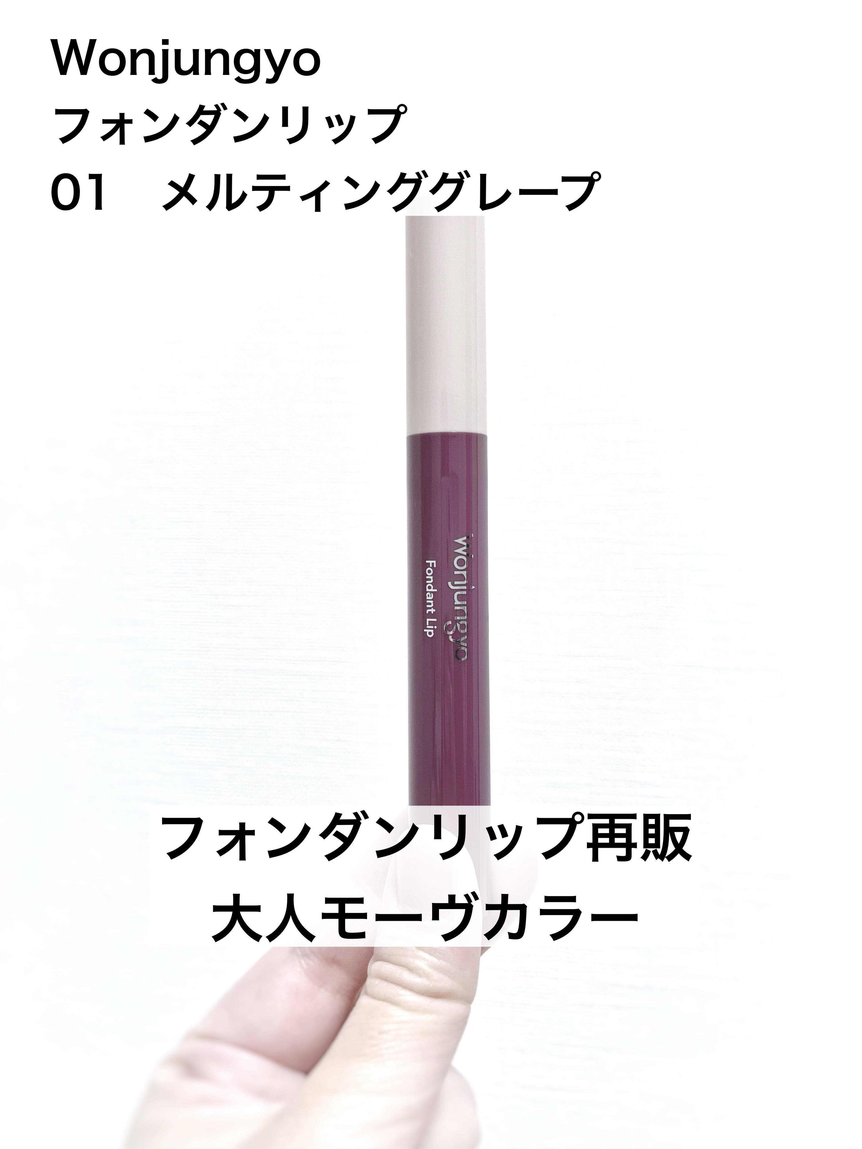 ウォンジョンヨ フォンダンリップ/Wonjungyo/口紅を使ったクチコミ（1枚目）