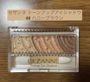 トーンアップアイシャドウ/CEZANNE/アイシャドウパレットを使ったクチコミ（1枚目）