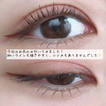 スキルレスライナー/LUMIURGLAS/リキッドアイライナーを使ったクチコミ(4枚目)