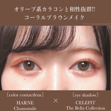 The Bella collection eyeshadow palette/CELEFIT/パウダーアイシャドウを使ったクチコミ（1枚目）