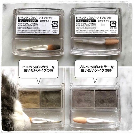 パウダーアイブロウR/CEZANNE/パウダーアイブロウを使ったクチコミ(2枚目)