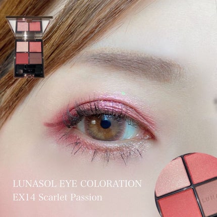 アイカラーレーション EX14(限定発売)/LUNASOL/アイシャドウパレットを使ったクチコミ(1枚目)