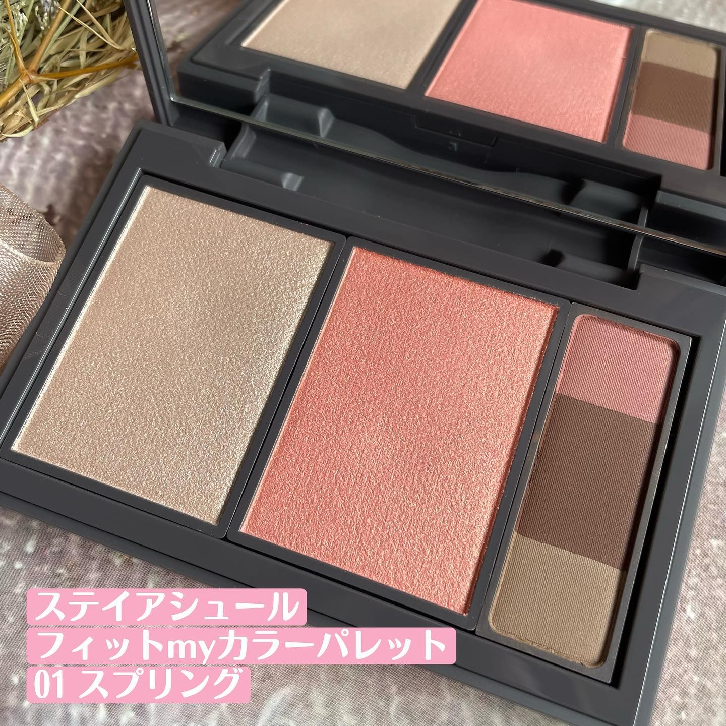 フィット my カラーパレット/STEIASUR（ステイアシュール）/マルチパレットを使ったクチコミ（2枚目）