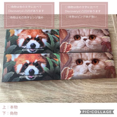 エクスプローラ12色 動物アイシャドウパレット RED PANDA/パーフェクトダイアリー/パウダーアイシャドウを使ったクチコミ（2枚目）