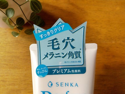 パーフェクトホワイトクレイ/SENKA(専科)/洗顔フォームを使ったクチコミ(2枚目)