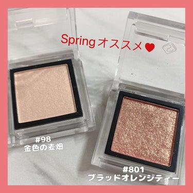 eyeshadow/SLN/単色アイシャドウを使ったクチコミ（2枚目）