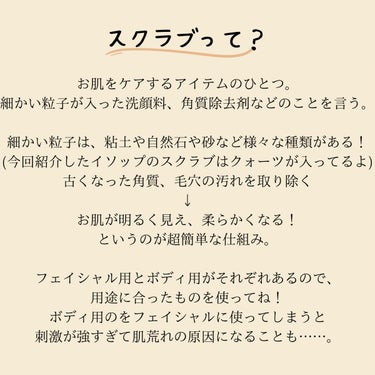 ピュリファイング フェイシャル エクスフォリアント/Aesop/スクラブ・ゴマージュを使ったクチコミ（3枚目）