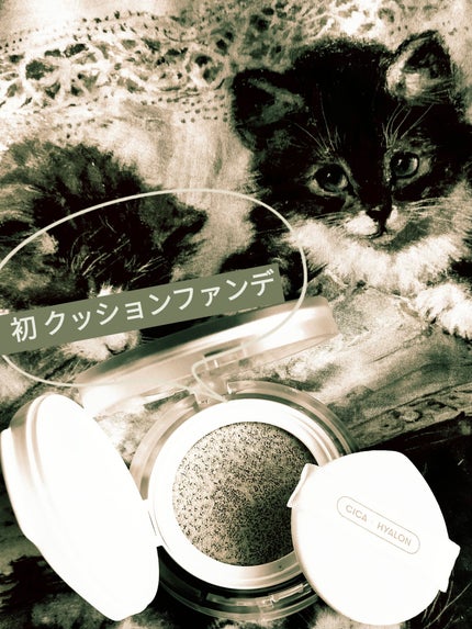 CICA スキンフィットカバークッション/VT/クッションファンデーションを使ったクチコミ(3枚目)