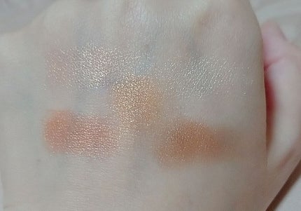 サンク クルール<ワイルド アース>/Dior/アイシャドウパレットを使ったクチコミ(3枚目)