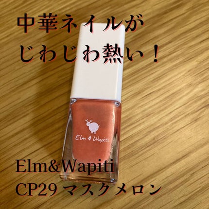 フラッフィーネイル/elm&wapiti/マニキュアを使ったクチコミ(1枚目)