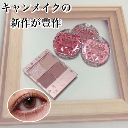 シルキースフレアイズ(マットタイプ)/キャンメイク/アイシャドウパレットを使ったクチコミ(1枚目)