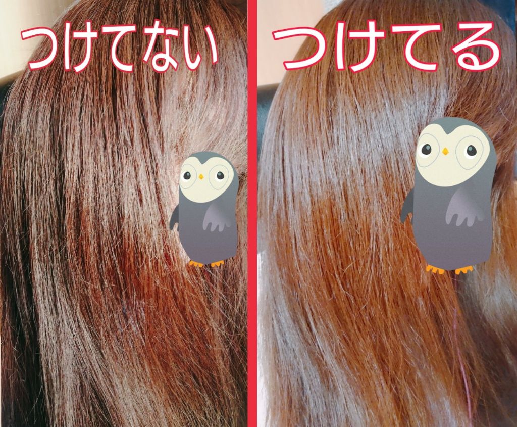 エルジューダ グレイスオン セラム/エルジューダ/ヘアオイルを使ったクチコミ（3枚目）