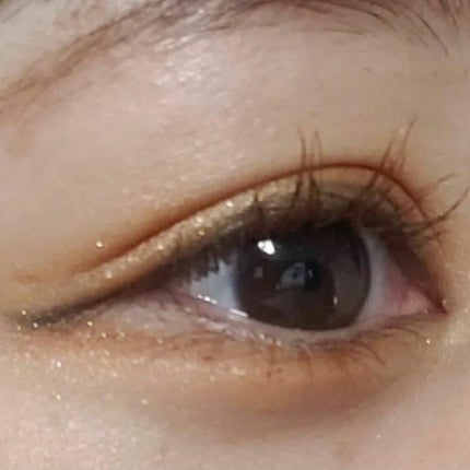 アイカラーレーション 04 Terracotta Roof(販売終了)/LUNASOL/アイシャドウパレットを使ったクチコミ(1枚目)